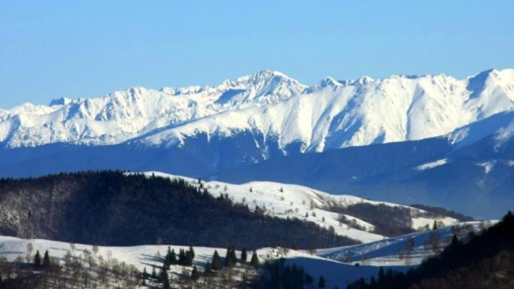 Pensiunea Osencuta Tălmaciu Buitenkant foto